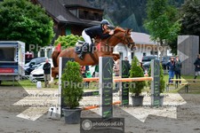 ref. photo 3717010