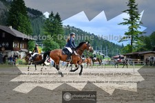 ref. photo 3717028