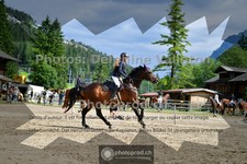 ref. photo 3717034