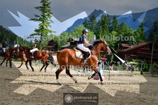 ref. photo 3717060