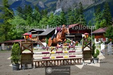 ref. photo 3717068