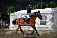 ref. photo 3717132