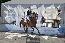 ref. photo 3717184