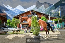 ref. photo 3717219