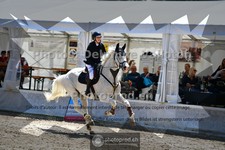 ref. photo 3717255