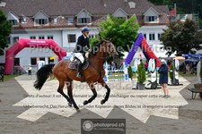 ref. photo 3717270