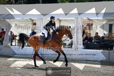 ref. photo 3717276
