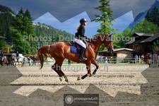 ref. photo 3717300