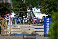 ref. photo 3717305