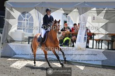 ref. photo 3717331