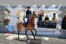 ref. photo 3717332