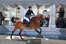ref. photo 3717338