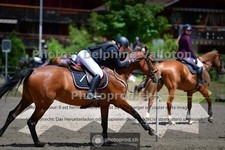 ref. photo 3717339