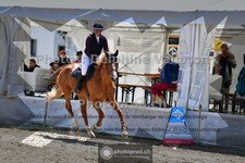 ref. photo 3717356