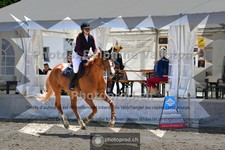 ref. photo 3717358