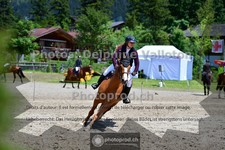 ref. photo 3717362