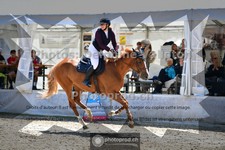 ref. photo 3717364