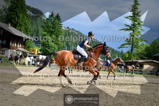 ref. photo 3717455
