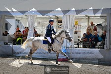 ref. photo 3717465