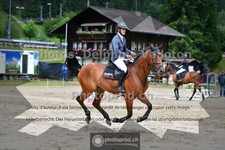 ref. photo 3717480