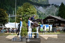 ref. photo 3717561