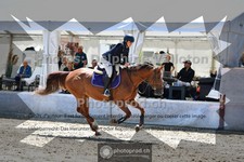 ref. photo 3717584