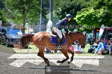 ref. photo 3717585