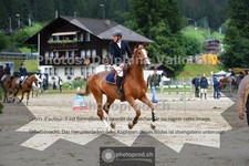 ref. photo 3717611