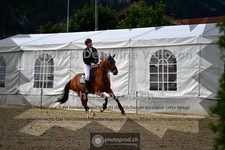 ref. photo 3717619