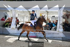 ref. photo 3717662