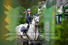 ref. photo 3717722