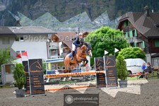 ref. photo 3717736
