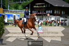 ref. photo 3717746