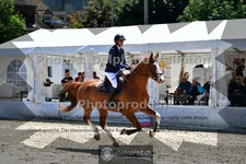 ref. photo 3717755