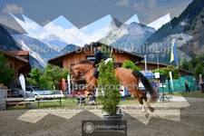 ref. photo 3717769