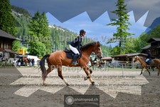 ref. photo 3717772