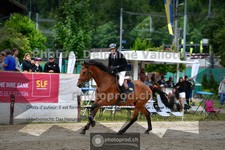 ref. photo 3717833