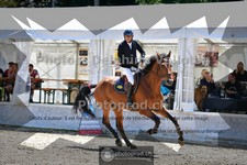 ref. photo 3717841