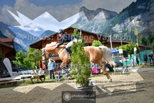 ref. photo 3717875
