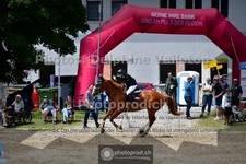 ref. photo 3717910