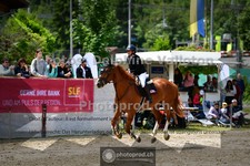 ref. photo 3717912