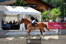 ref. photo 3717913