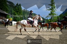 ref. photo 3717953