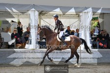 ref. photo 3717971