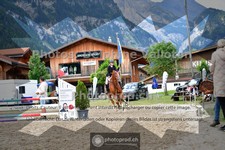 ref. photo 3718097