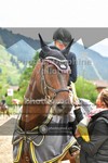 ref. photo 3718115