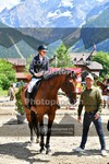 ref. photo 3718202
