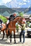 ref. photo 3718218
