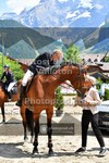 ref. photo 3718219