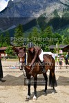 ref. photo 3718324